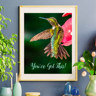 Ruby Throated Hummingbird Du har Har offerten Poster