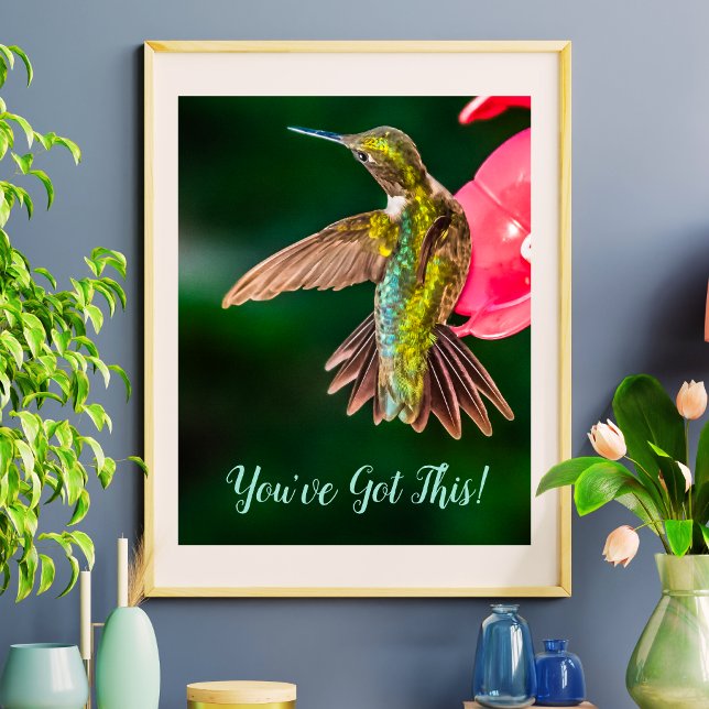 Ruby Throated Hummingbird Du har Har offerten Poster (Ruby Throated Hummingbird You've Got This Quote Poster)