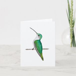 Ruby-throated Hummingbird Female Greeting Card Kort