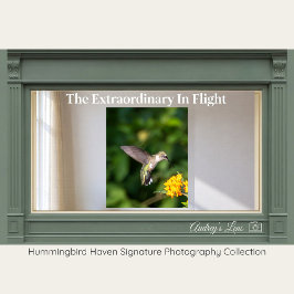 Ruby-Throated Hummingbird Fine Art Photography  Poster