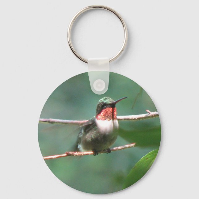 Ruby-throated Hummingbird Flutters Keychain Nyckelring (Framsida)