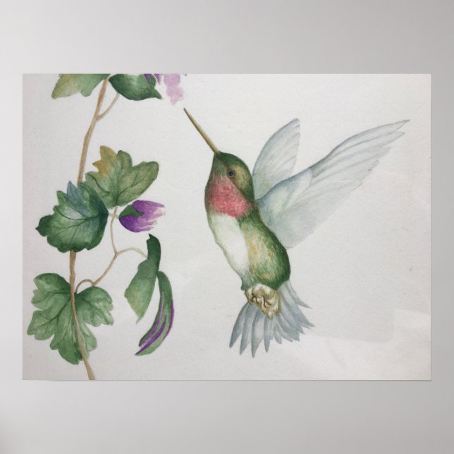 Ruby-throated Hummingbird Garden Watercolor Poster (Framsidan)