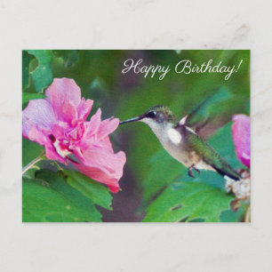 Ruby Throated Hummingbird Grattis på födelsedagen Vykort