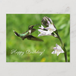 Ruby Throated Hummingbird Grattis på födelsedagen Vykort
