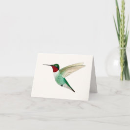 Ruby-throated Hummingbird Greeting Card Kort