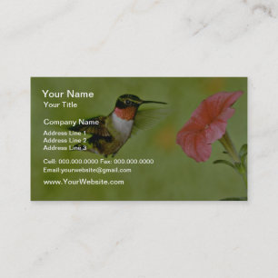 Ruby-throated Hummingbird (hane) med petunia Rosa Visitkort