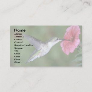 Ruby-throated Hummingbird (hondjur) med petunia Visitkort