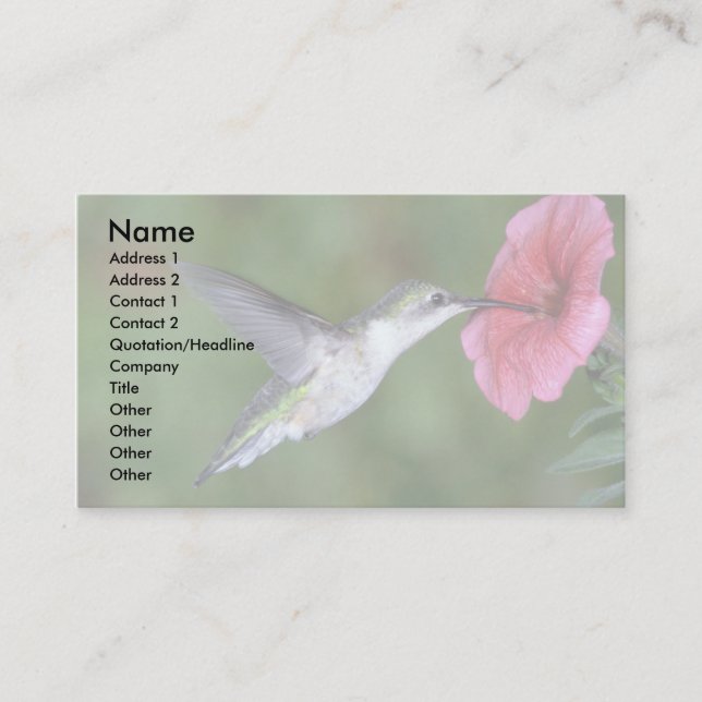 Ruby-throated Hummingbird (hondjur) med petunia Visitkort (Framsida)