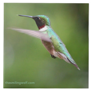 Ruby-Throated Hummingbird Kakelplatta