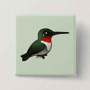 Ruby-throated Hummingbird Knapp