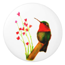 Ruby-Throated Hummingbird Knopp