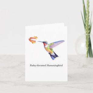 Ruby-throated Hummingbird Kort
