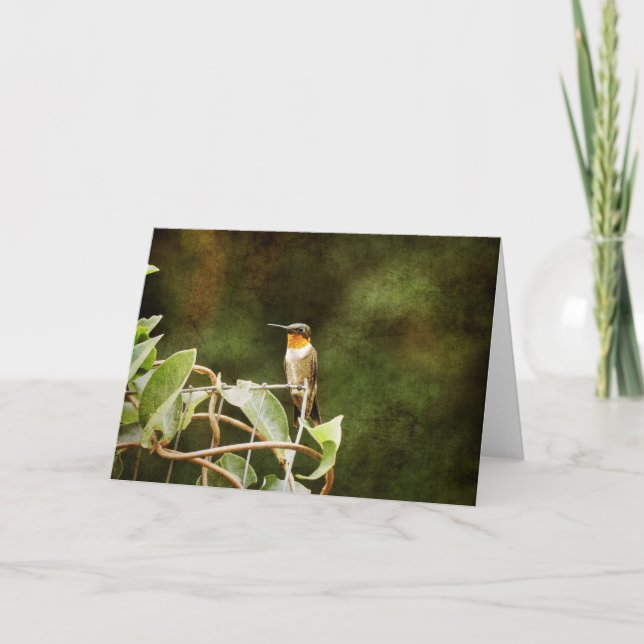 Ruby Throated Hummingbird Kort (Framsida)