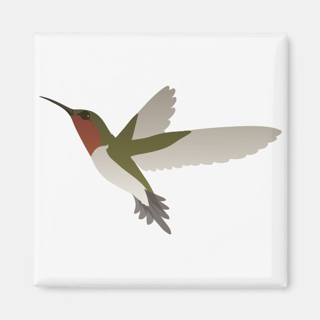 Ruby Throated Hummingbird Magnet (Framsidan)