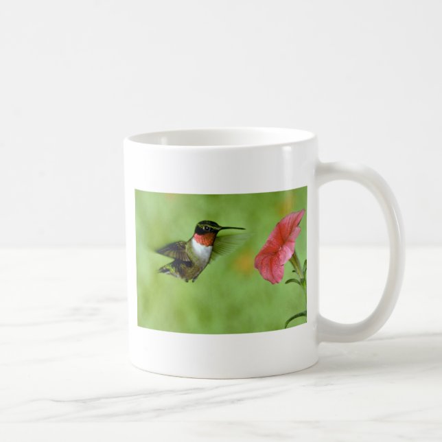 Ruby-throated Hummingbird (manlig) med petuniaen Kaffemugg (Höger)