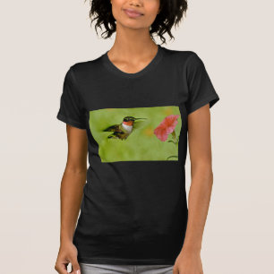 Ruby-throated Hummingbird (manlig) med T-shirt