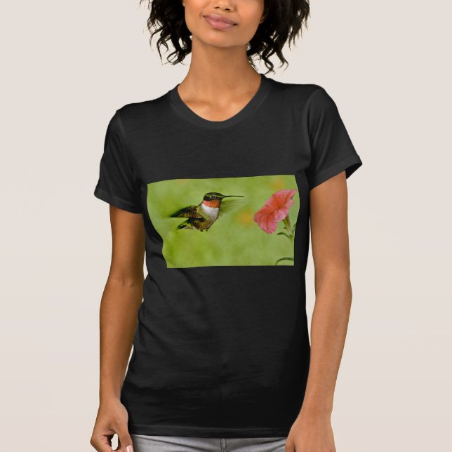 Ruby-throated Hummingbird (manlig) med T-shirt (Framsida)