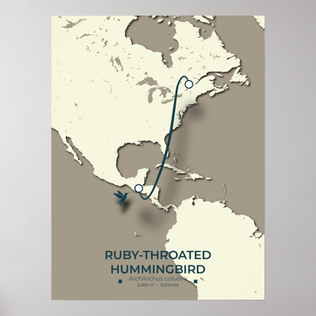 Ruby-throated Hummingbird Migration Karta Poster (Framsidan)