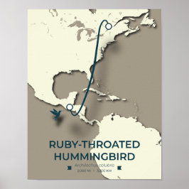 Ruby-throated Hummingbird Migration Karta Poster