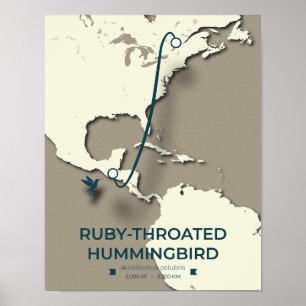 Ruby-throated Hummingbird Migration Karta Poster