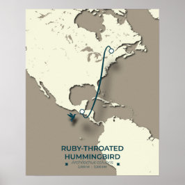 Ruby-throated Hummingbird Migration Karta Poster