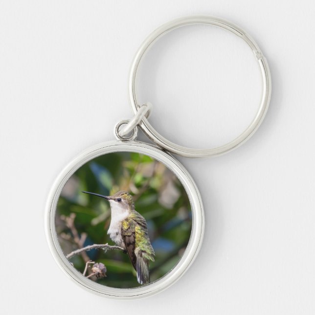 Ruby-Throated Hummingbird Nyckelring #4Q7A5301 (Framsidan)