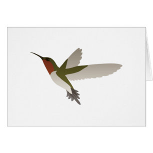 Ruby Throated Hummingbird OBS Kort