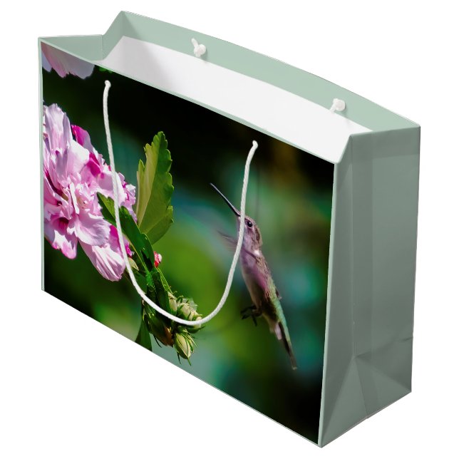 Ruby-throated Hummingbird - Original Photograph (Baksidan Vinklad)