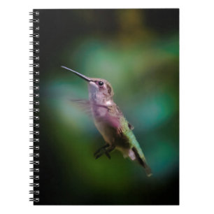 Ruby-throated Hummingbird - Original Photograph Anteckningsbok
