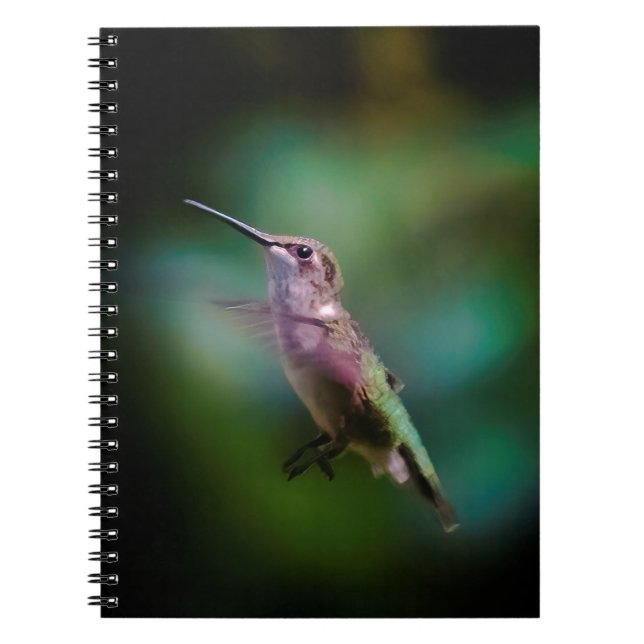 Ruby-throated Hummingbird - Original Photograph Anteckningsbok (Framsidan)