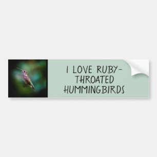 Ruby-throated Hummingbird - Original Photograph Bildekal