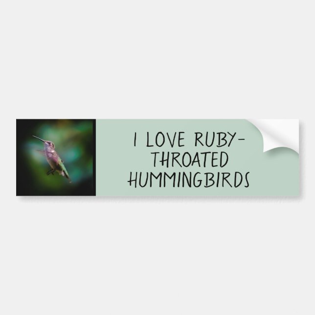 Ruby-throated Hummingbird - Original Photograph Bildekal (Framsidan)