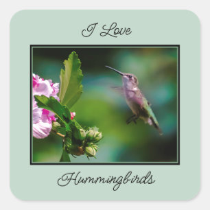Ruby-throated Hummingbird - Original Photograph Fyrkantigt Klistermärke