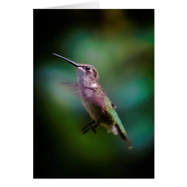 Ruby-throated Hummingbird - Original Photograph Hälsningskort (Framsidan)