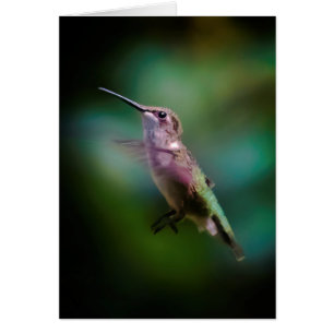 Ruby-throated Hummingbird - Original Photograph Hälsningskort
