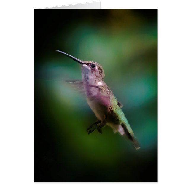 Ruby-throated Hummingbird - Original Photograph Hälsningskort (Framsidan)