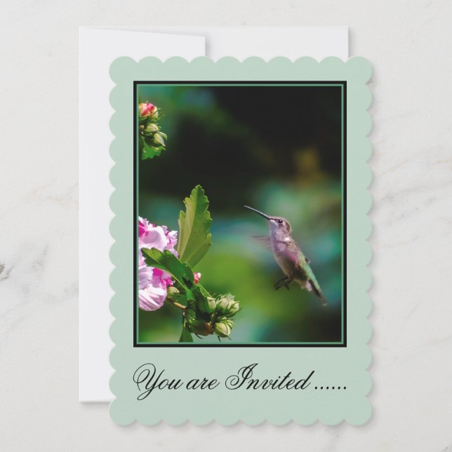 Ruby-throated Hummingbird - Original Photograph Inbjudningar (Framsida)