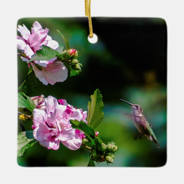 Ruby-throated Hummingbird - Original Photograph Julgransprydnad Keramik (Framsida)