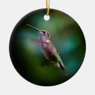 Ruby-throated Hummingbird - Original Photograph Julgransprydnad Keramik