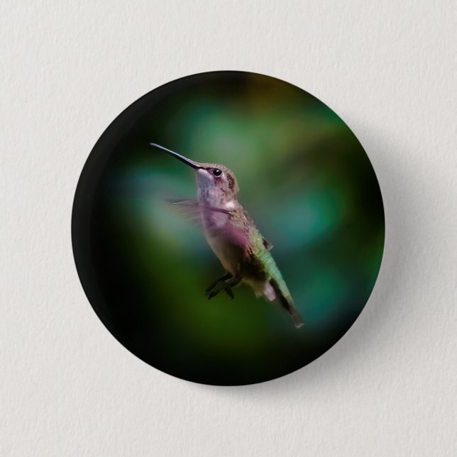 Ruby-throated Hummingbird - Original Photograph Knapp (Framsida)