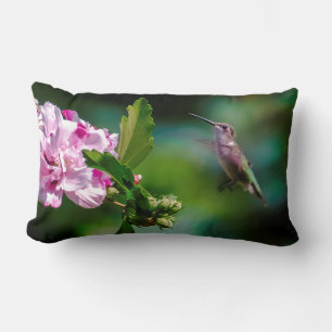 Ruby-throated Hummingbird - Original Photograph Lumbarkudde
