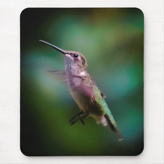 Ruby-throated Hummingbird - Original Photograph Musmatta (Framsidan)