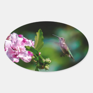 Ruby-throated Hummingbird - Original Photograph Ovalt Klistermärke