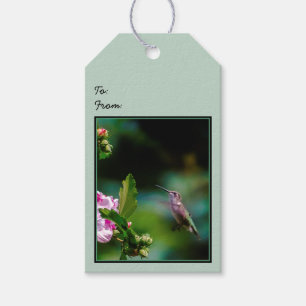 Ruby-throated Hummingbird - Original Photograph Presentetikett