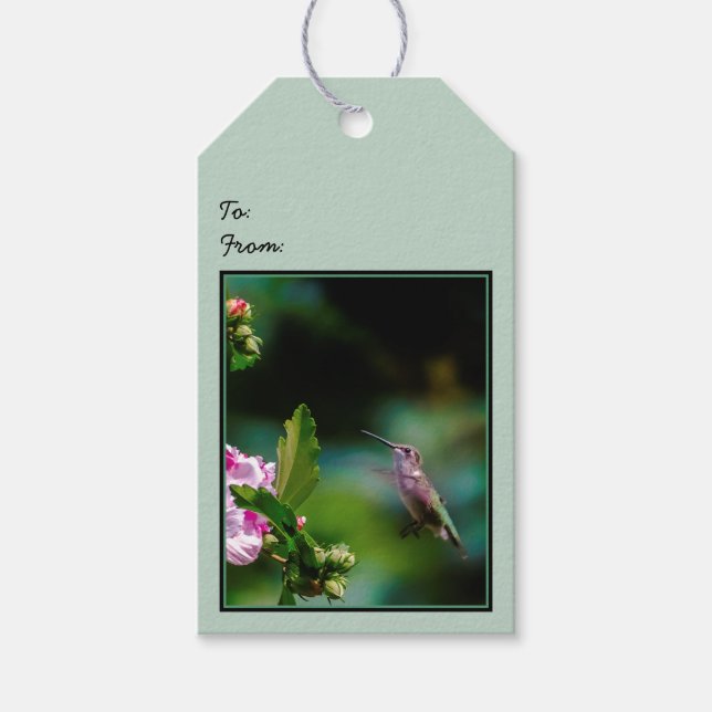 Ruby-throated Hummingbird - Original Photograph Presentetikett (Framsidan)