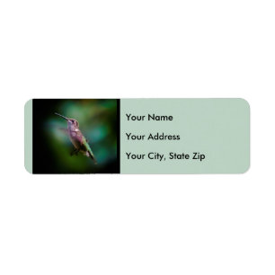 Ruby-throated Hummingbird - Original Photograph Returadress Etikett
