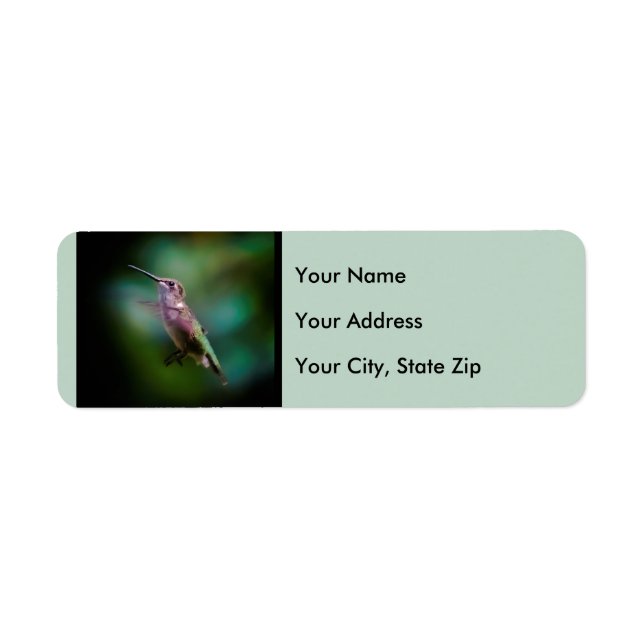 Ruby-throated Hummingbird - Original Photograph Returadress Etikett (Framsidan)