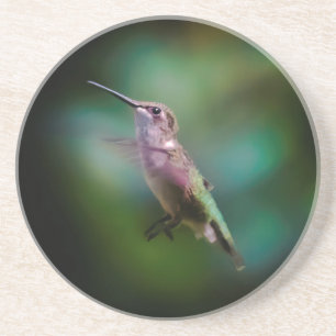 Ruby-throated Hummingbird - Original Photograph Underlägg