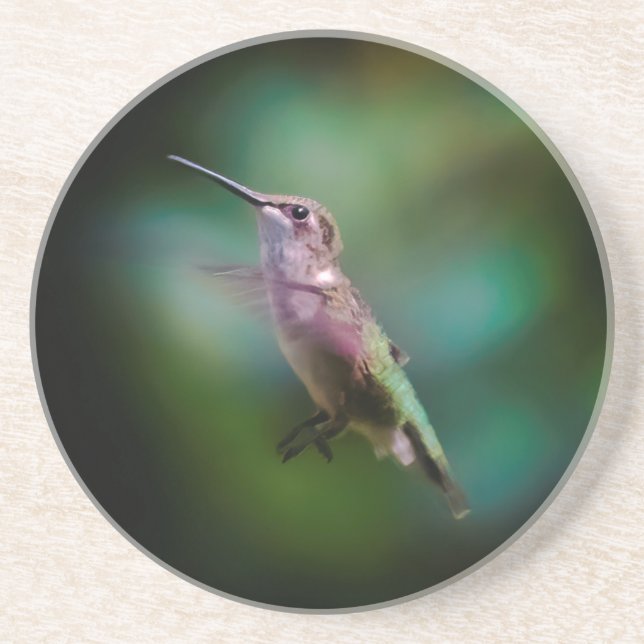 Ruby-throated Hummingbird - Original Photograph Underlägg (Framsidan)
