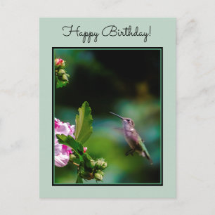Ruby-throated Hummingbird - Original Photograph Vykort